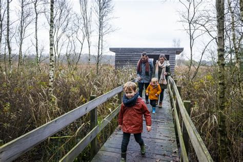  De Vroeg-Middeleeuwse Koraalvisserij van de San: Een Kijkonderzoek naar de Sociale Structuur en Economische Ontwikkeling in Zuidelijk Afrika